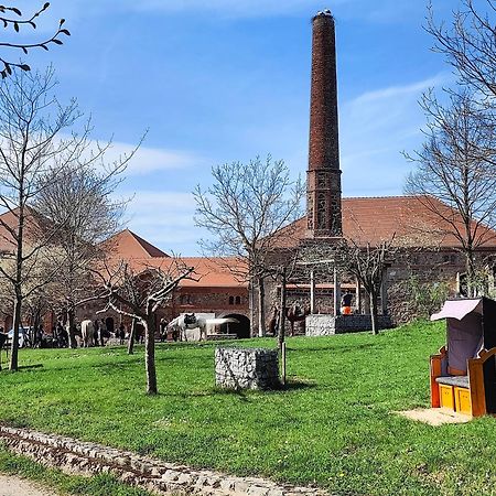 Tinyhousebeidresden 1 - Direkt Am Naturteich - Naehe Saechsische Schweiz, Dresden Grossharthau Ngoại thất bức ảnh