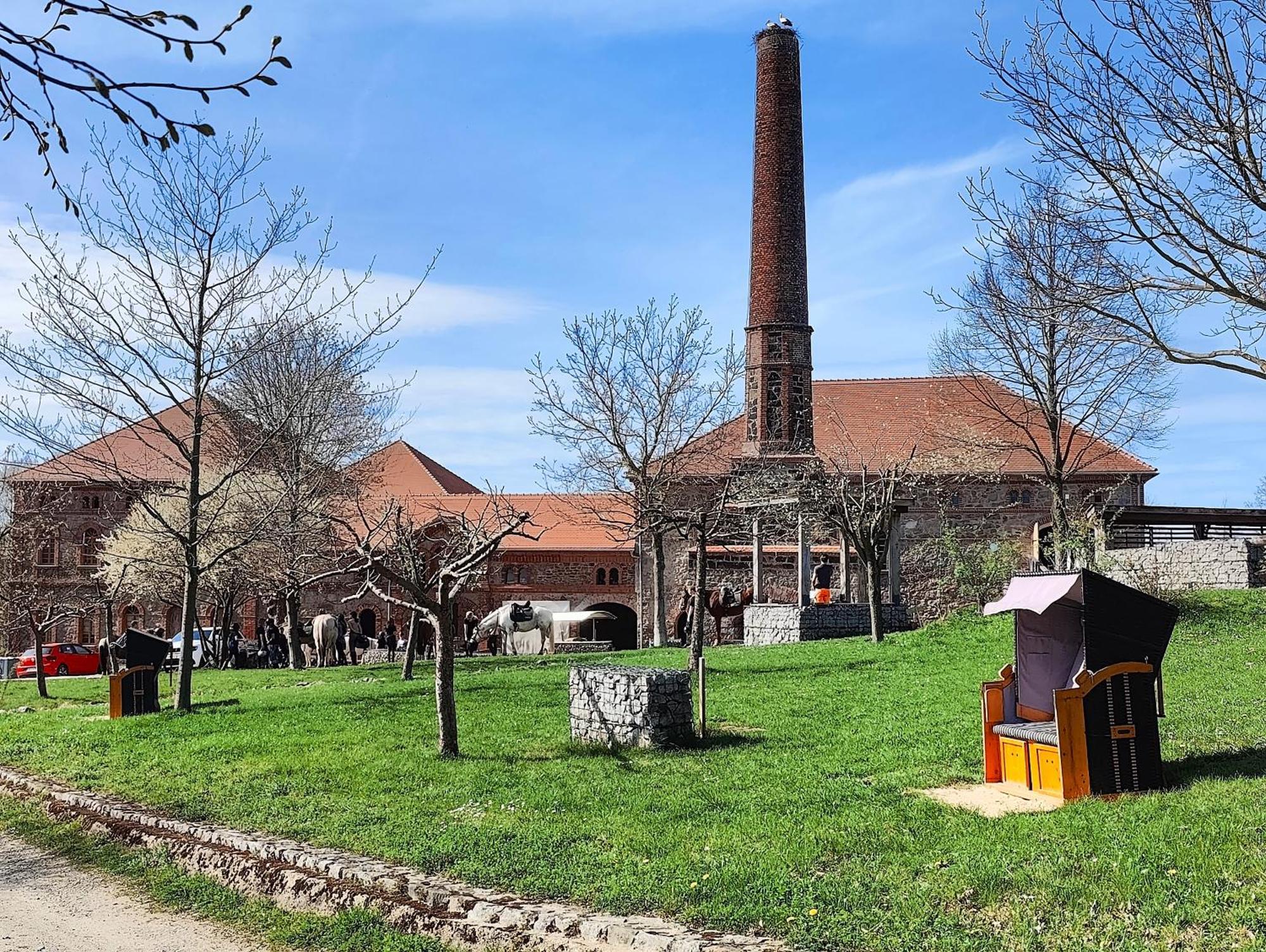 Tinyhousebeidresden 1 - Direkt Am Naturteich - Naehe Saechsische Schweiz, Dresden Grossharthau Ngoại thất bức ảnh